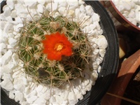 6d9f8b8a-Picture 6182.jpg